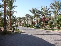 Reef Oasis ����������