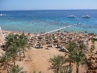 Reef Oasis ����