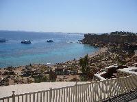 Reef Oasis ��� �� �����