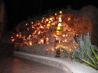 Reef Oasis �����