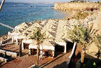 Reef Oasis ����� ��������