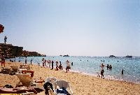 Reef Oasis ����