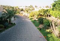 Reef Oasis ����������