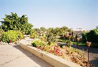 Reef Oasis ����������