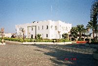 Reef Oasis �������