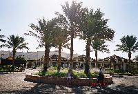 Reef Oasis �����