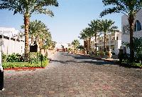 Reef Oasis �����