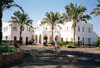 Reef Oasis �������