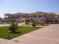 �������� ���