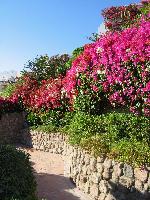 �������!