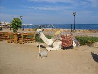 Sunrise Holiday resort