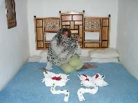 � ���� ������� ��� "��������"������ ��������� �� ��������� � ������