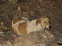 ������� ������