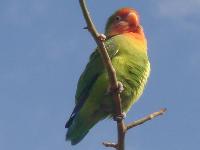 ������...