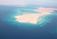 �������. ��� ������.