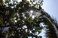 ���������, ������... ������, �������!