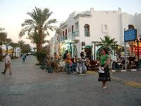 ����-���-����