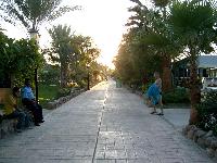 ����-���-����. ��������