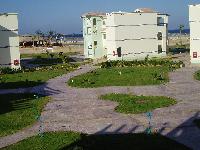 ����� ������ ������ ���