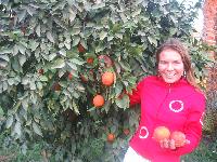 � ����� Jasmine Village