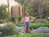 ���������� �����