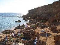 ���� �������