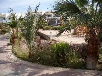 Oasis ���� � Dreams Beach