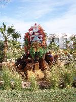 ������ � ������� Dreams Beach