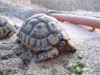 ��������� � ����� ������ Dreams Beach