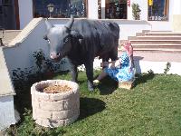 ������ � Dreams Vacation