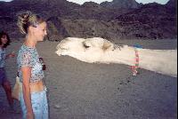 ��������� �������