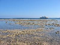 ������ �������� ���������� �������� Makadi Palace