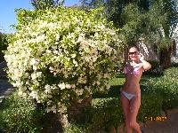 ����� �� ��������