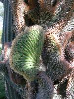 ��������� ������