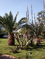 Shams Safaga. ��� ��� ���!