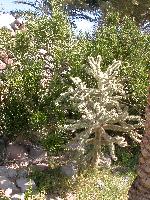 ������ �� ���������