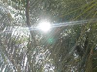 ��� � ������