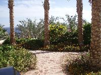 ��� � ������