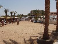 ���� � ���