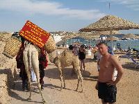 ������� �������