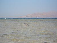 ����-����