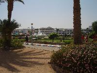 ��� �� ������