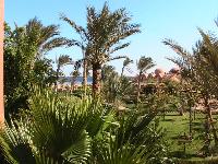 ������ ����