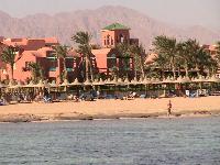 ������ ����