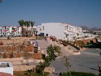 ����� Coral Beach Tiran