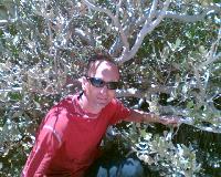 ��������� ������