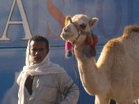 ������ � ������