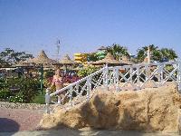 ������� ��������