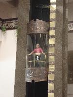 ������� ��������