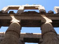 ������......